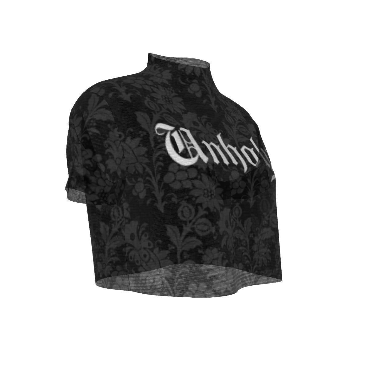 Unholy Short Sleeves Mesh Crop Top