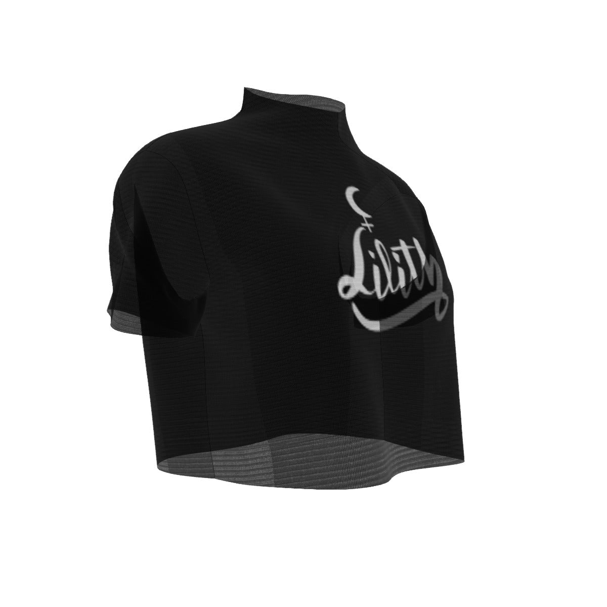 Lilith  Short Sleeves Mesh Crop Top