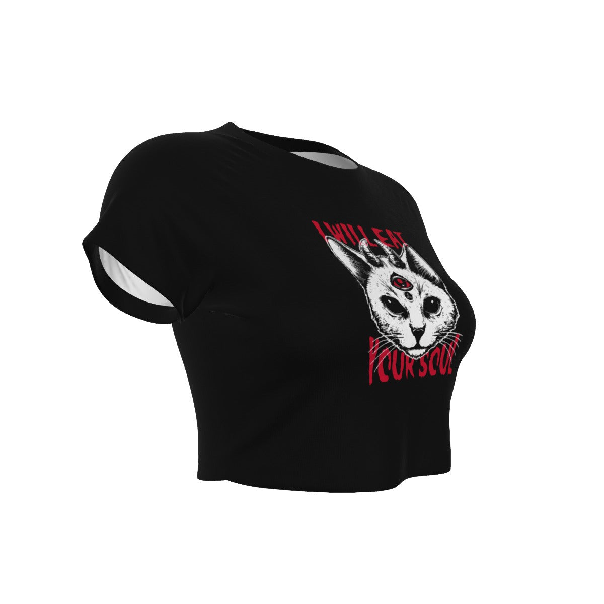 HellCat Raglan Cropped T-shirt & Panties