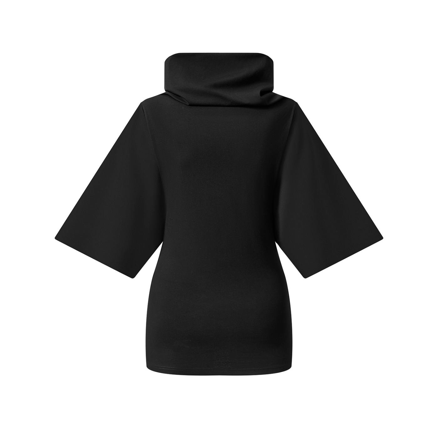 Collapsed Dreams Turtleneck Batwing Top