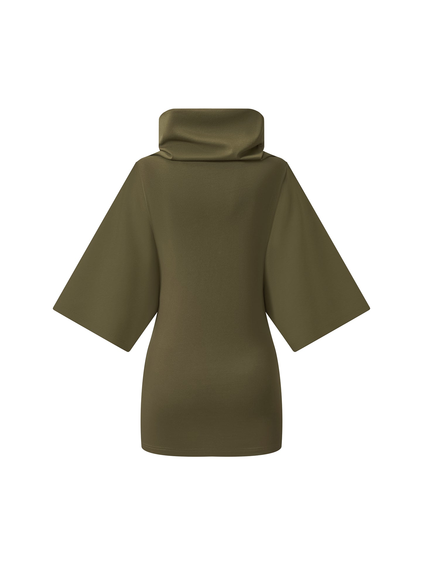Once Bitten Turtleneck Batwing Top