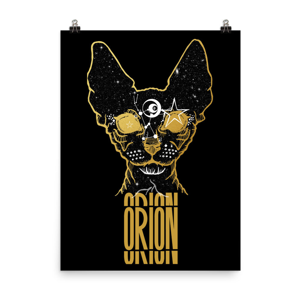 Orion's Cat