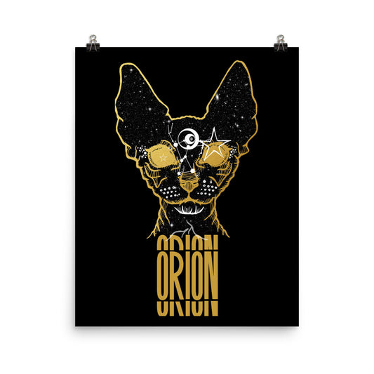 Orion's Cat